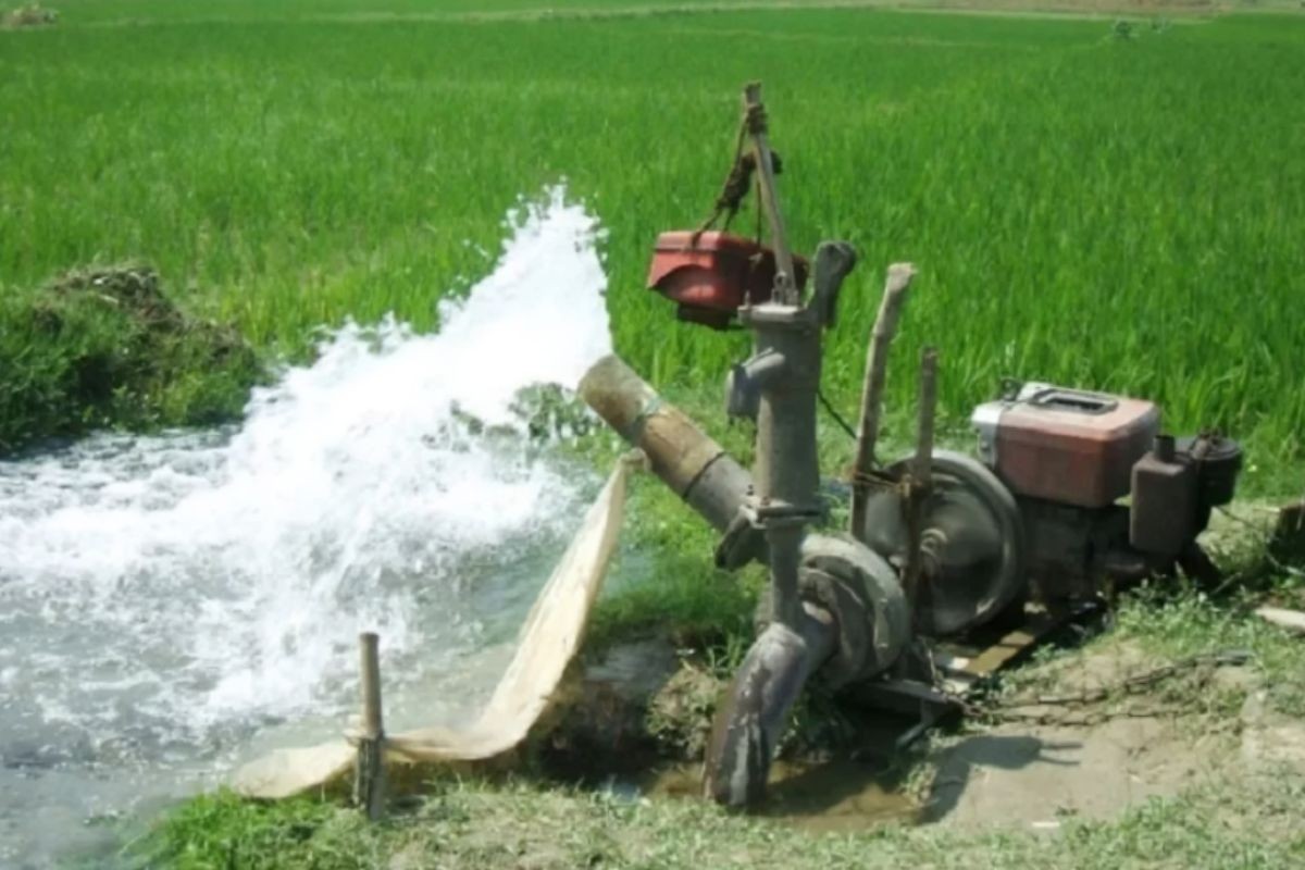 কৃষকদের হাতে নগদ টাকা নেই, ফসল দিয়ে কিনতে হচ্ছে সেচের জল