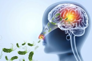 কেরালার পর এবার পশ্চিমবঙ্গে ‘মস্তিষ্ক খেকো অ্যামিবা’, ১৬ জনের প্রাণহানি