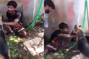 চোর সন্দেহে যুবককে কুকুর দিয়ে নির্যাতন, অতঃপর…
