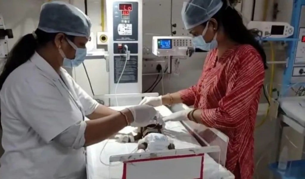 জীবন্ত মাটিচাপা দেওয়া নবজাতক লড়ছে বাঁচার জন্য 1758258867 জীবন্ত মাটিচাপা দেওয়া নবজাতক লড়ছে বাঁচার জন্য