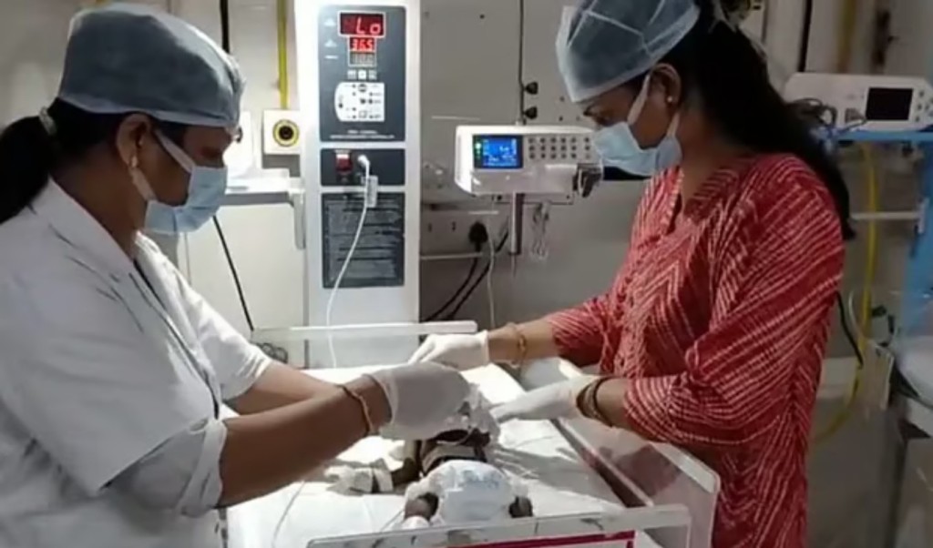 জীবিত পুঁতে ফেলা নবজাতকটি উদ্ধার হওয়ার পর হাসপাতালে কেমন আছে 4 জীবিত পুঁতে ফেলা নবজাতকটি উদ্ধার হওয়ার পর হাসপাতালে কেমন আছে 1758279914 জীবিত পুঁতে ফেলা নবজাতকটি উদ্ধার হওয়ার পর হাসপাতালে কেমন আছে