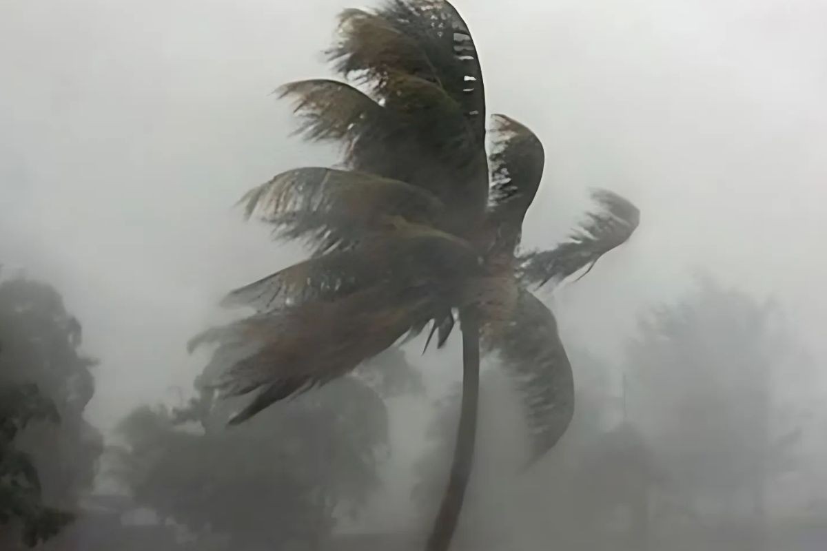 দুপুরের মধ্যে দেশের ৭ জেলায় ঝড়ের পূর্বাভাস