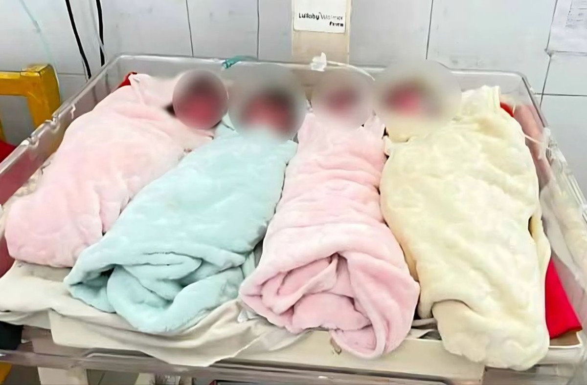 টাঙ্গাইলে একসঙ্গে চার সন্তানের জন্ম