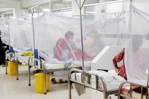 ডেঙ্গুতে একদিনে ৩ মৃত্যু, হাসপাতালে ভর্তি ৭৩৫