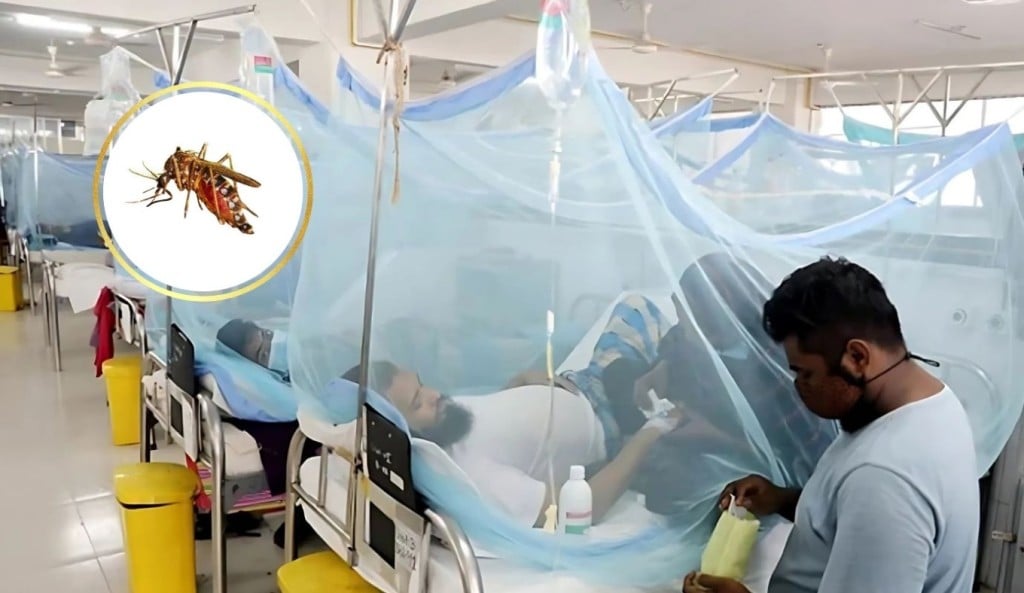 ডেঙ্গুতে মৃত্যুহারে বিশ্বের শীর্ষে কোন দেশ 1758948723 ডেঙ্গুতে মৃত্যুহারে বিশ্বের শীর্ষে যে দেশ