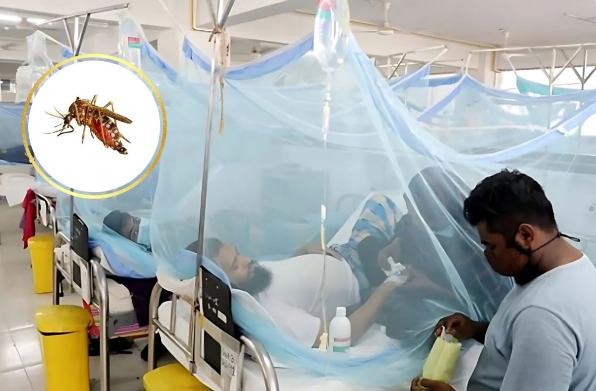 ডেঙ্গুতে মৃত্যুহারে বিশ্বের শীর্ষে যে দেশ