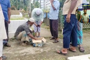 ছবি: সংগৃহীত