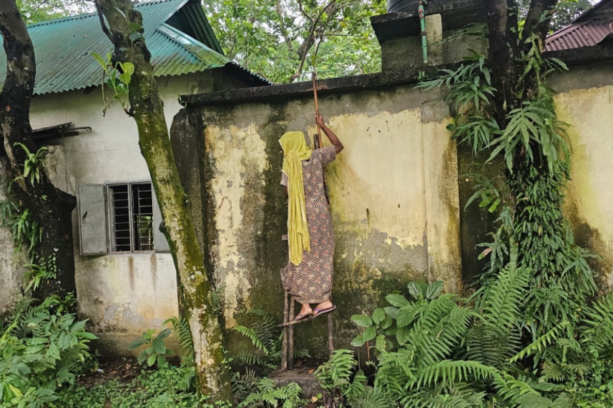 নিজ বাড়িতে নয় মাস অবরুদ্ধ বিধবা মা-ছেলে, মই বেয়ে যাতায়াত