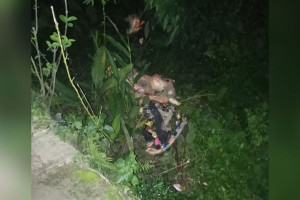 নীলফামারীতে কালীমন্দিরে প্রতিমা ভাঙচুর, যুবক গ্রেপ্তার