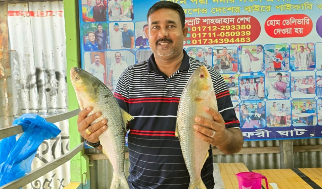 পদ্মার দুই ইলিশ সাড়ে ১৭ হাজারে বিক্রি 3 পদ্মার দুই ইলিশ সাড়ে ১৭ হাজারে বিক্রি 1758815244 পদ্মার দুই ইলিশ সাড়ে ১৭ হাজারে বিক্রি