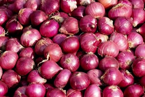 আড়াই বছর পর বেনাপোল বন্দর দিয়ে ভারত থেকে এলো ৬০ টন পেঁয়াজ