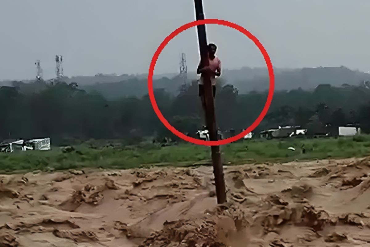 প্রকৃতির ডাকে সাড়া দিতে গিয়ে ভয়াবহ বিপদে তরুণ