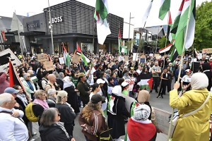 ফিলিস্তিনকে স্বীকৃতি না দিয়ে তোপের মুখে নিউজিল্যান্ড