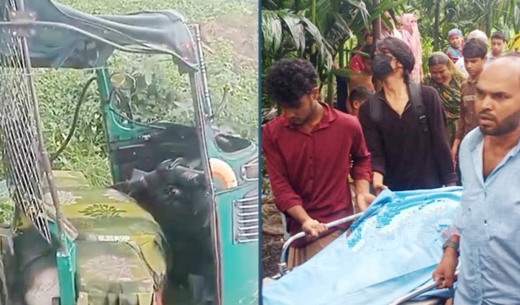 বাস-অটোরিকশা সংঘর্ষে বউ–শাশুড়িসহ নিহত ৩ 3 বাস অটোরিকশা সংঘর্ষে বউ–শাশুড়িসহ নিহত ৩ 1757929041 বাস-অটোরিকশা সংঘর্ষে বউ–শাশুড়িসহ নিহত ৩