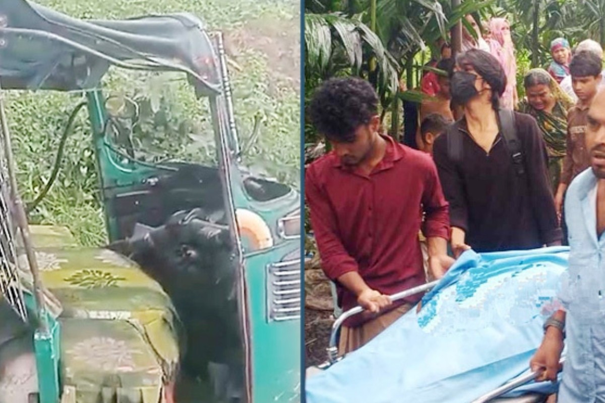 বাস-অটোরিকশা সংঘর্ষে বউ–শাশুড়িসহ নিহত ৩