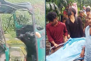 বাস-অটোরিকশা সংঘর্ষে বউ–শাশুড়িসহ নিহত ৩