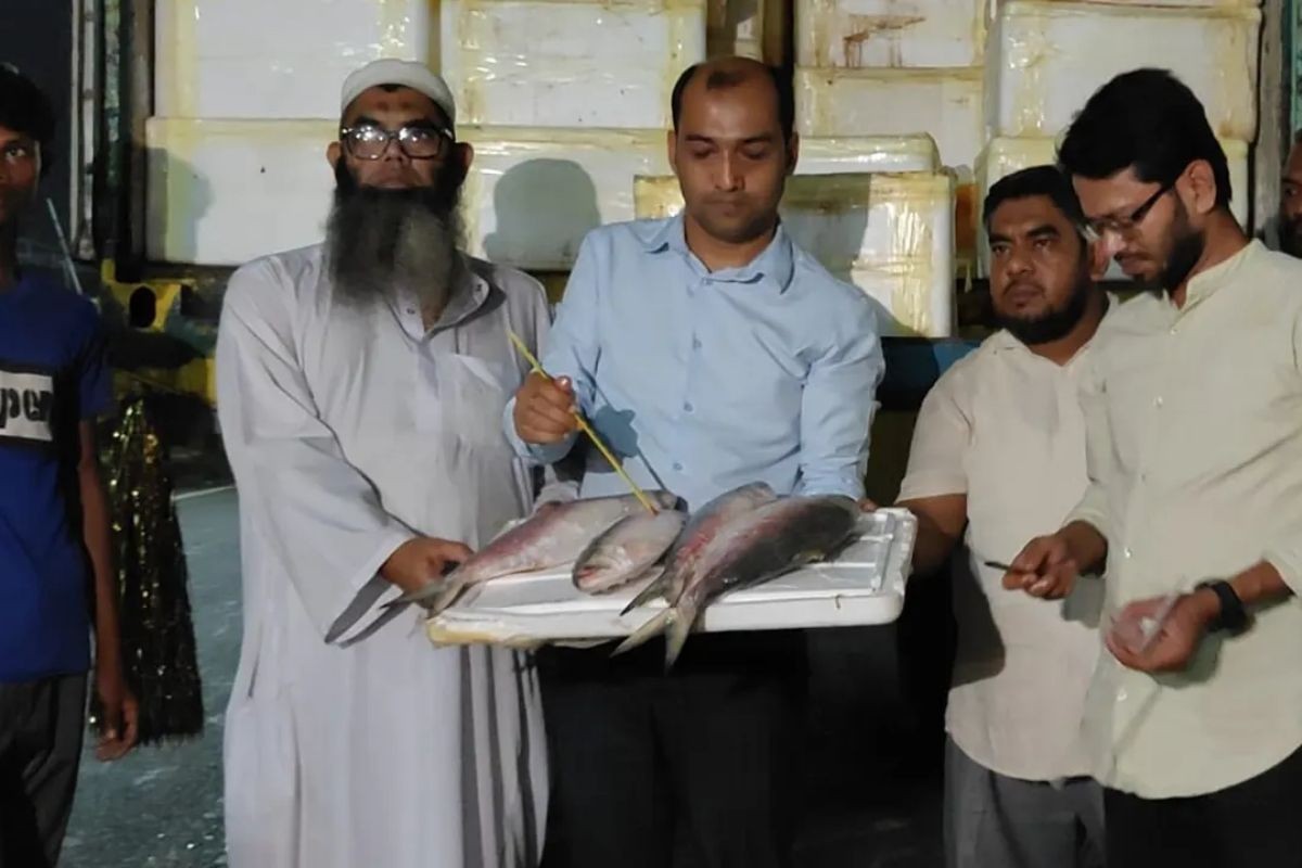 ভারতে গেল ইলিশের প্রথম চালান