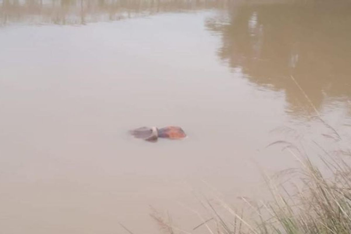 মালিঝি নদ থেকে অজ্ঞাতনামা নারীর লাশ উদ্ধার