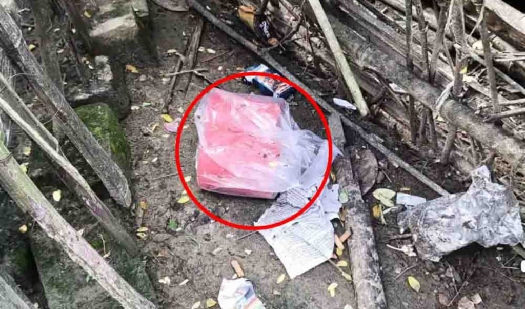 মেহেরপুরে বোমা উদ্ধার 1758602853 মেহেরপুরে বোমা উদ্ধার