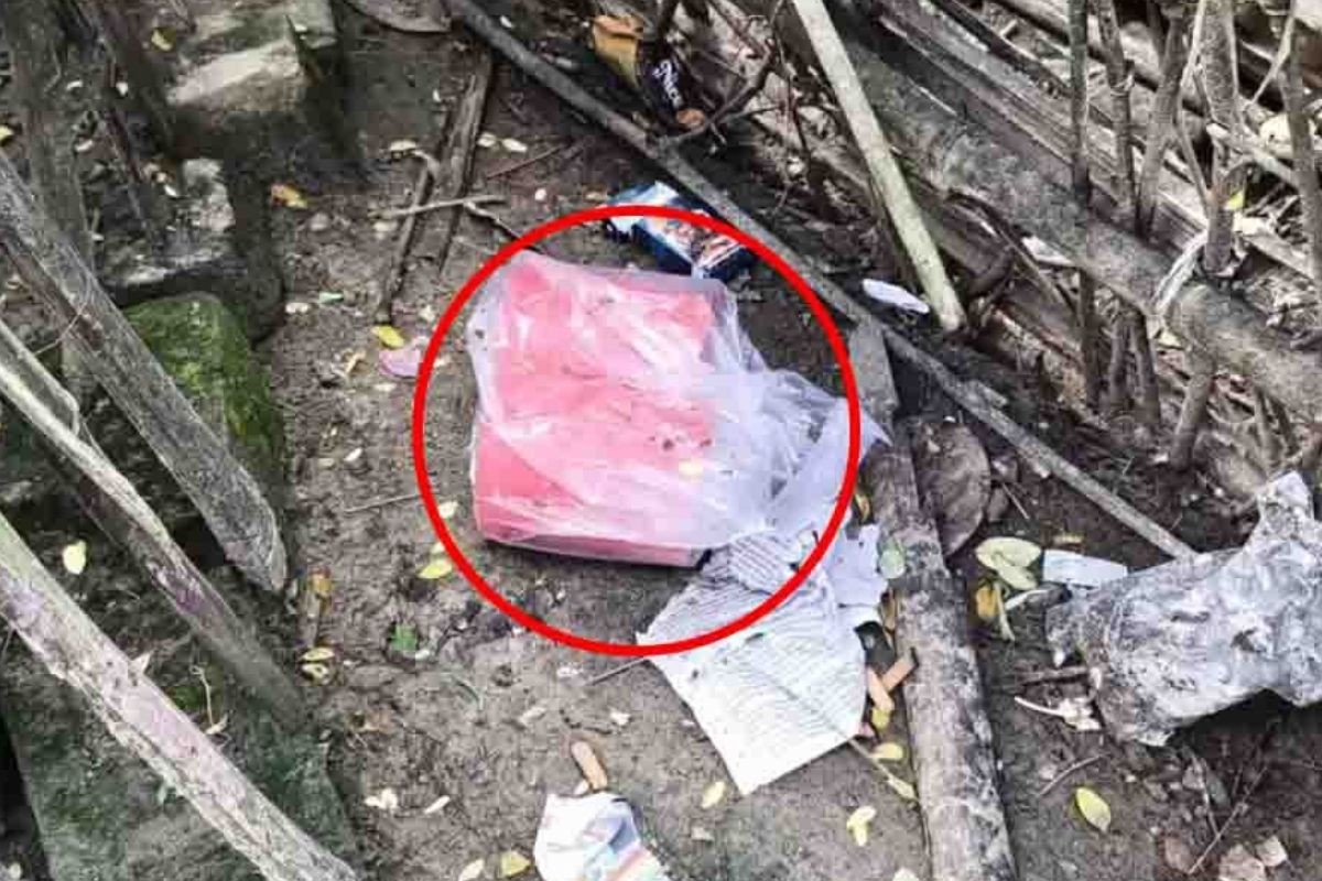 মেহেরপুরে বোমা উদ্ধার