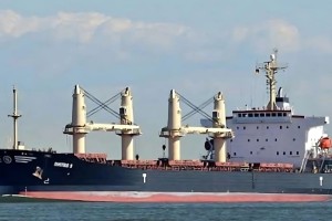 রাশিয়া থেকে এলো সাড়ে ৫২ হাজার টন গম