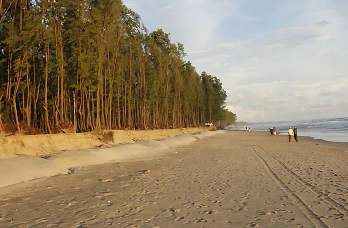 সমুদ্র সৈকতের ঝাউবনে মিললো যুবকের মরদেহ