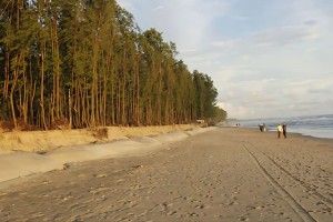 সমুদ্র সৈকতের ঝাউবনে মিললো যুবকের মরদেহ