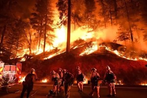 সিরিয়ায় দাবানলের আগুন ছড়িয়ে পড়েছে বাড়িঘরে