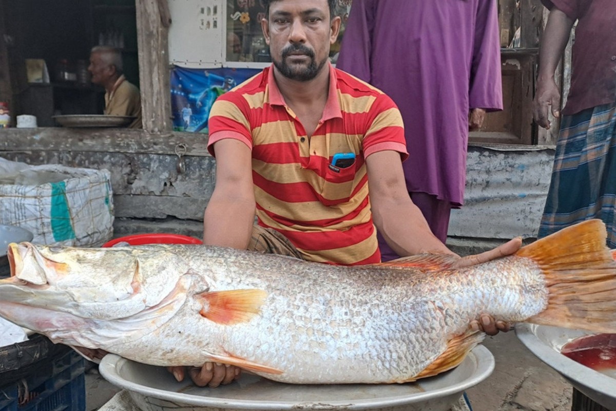 ১৮ হাজারে বিক্রি হলো ১৫ কেজির কোরাল
