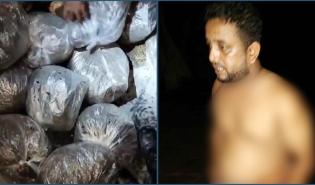 ২৮ কেজি গাঁজার ২১ কেজিই উধাও, এসআই ক্লোজড 3 ২৮ কেজি গাঁজার ২১ কেজিই উধাও এসআই ক্লোজড 1756902905 ২৮ কেজি গাঁজার ২১ কেজিই উধাও, এসআই ক্লোজড