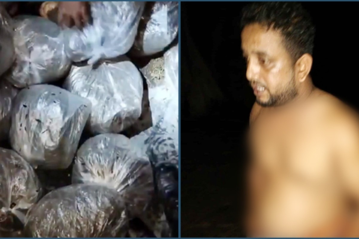 ২৮ কেজি গাঁজার ২১ কেজিই উধাও, এসআই ক্লোজড