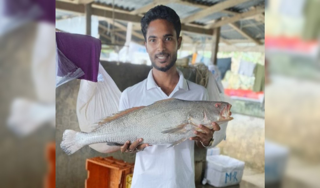 ৮০ হাজার টাকায় বিক্রি হলো বিরল ‘কালো পোয়া’ 3 ৮০ হাজার টাকায় বিক্রি হলো বিরল ‘কালো পোয়া 1758980902 ৮০ হাজার টাকায় বিক্রি হলো বিরল ‘কালো পোয়া’
