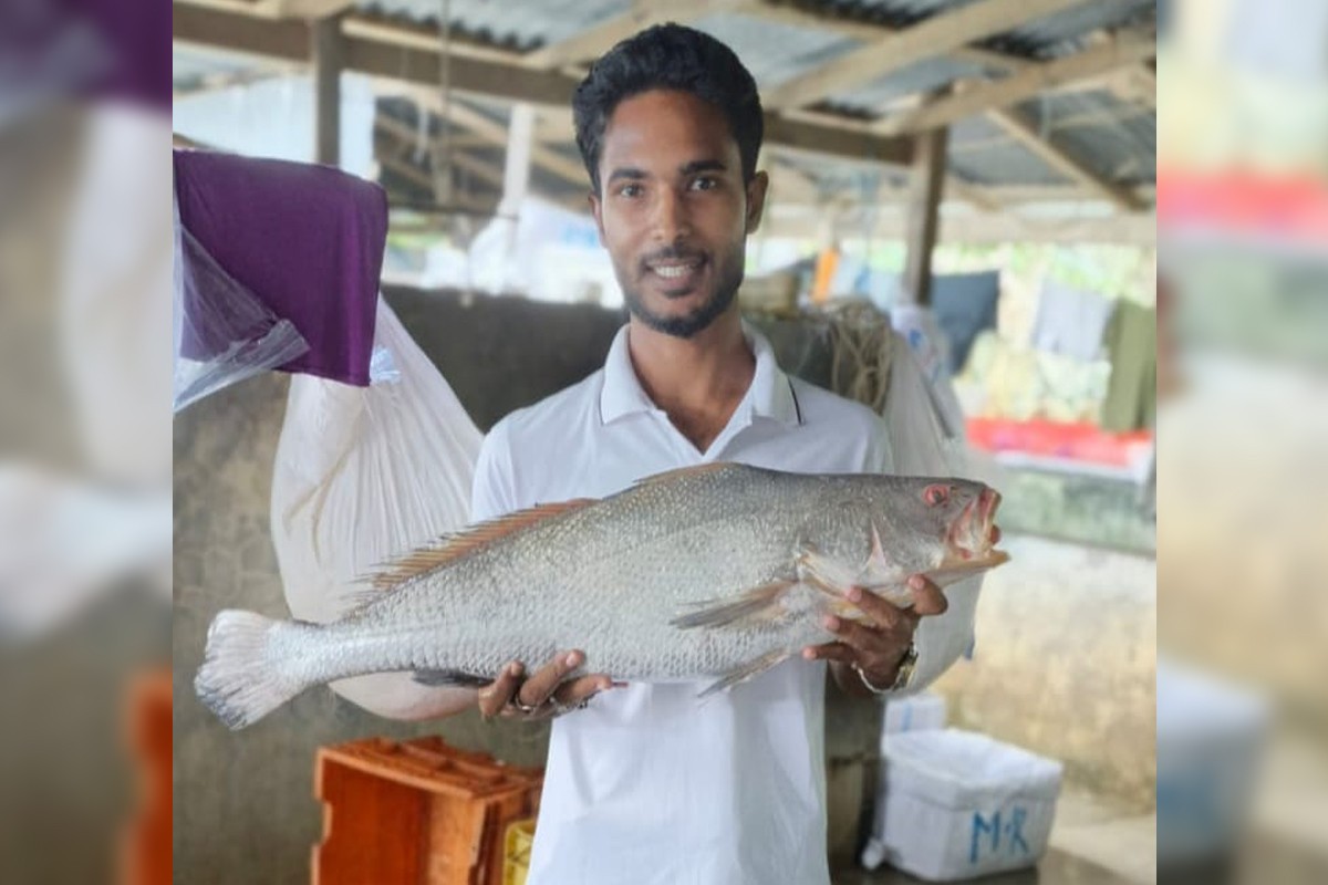৮০ হাজার টাকায় বিক্রি হলো বিরল ‘কালো পোয়া’