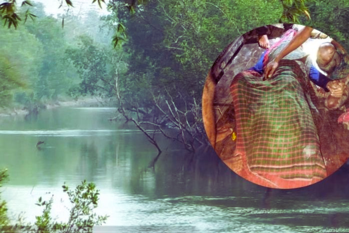 কাঁকড়া ধরতে গিয়ে কুমিরের আক্রমণে প্রাণ হারালেন সুব্রত