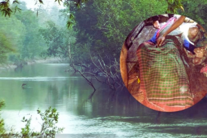 কাঁকড়া ধরতে গিয়ে কুমিরের আক্রমণে প্রাণ হারালেন সুব্রত