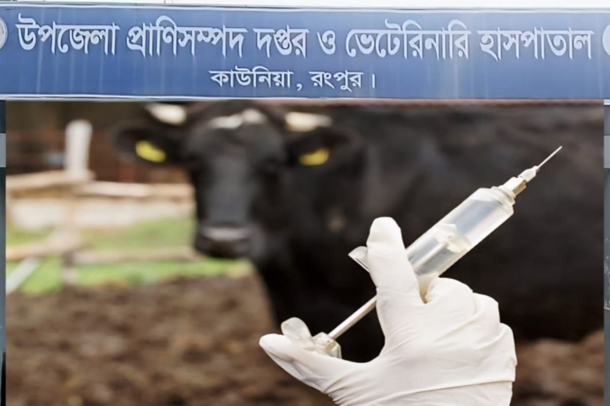 ৮০ পয়সার টিকা ৬০ টাকায় বিক্রি