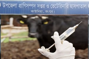 ৮০ পয়সার টিকা ৬০ টাকায় বিক্রি