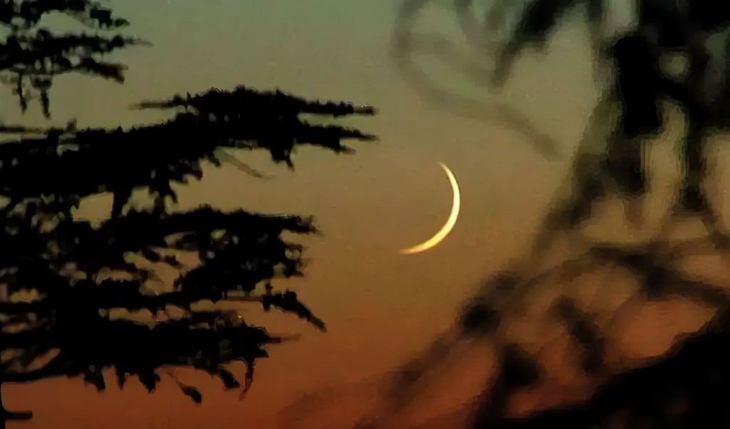 আজ পবিত্র ফাতেহা-ই-ইয়াজদাহম 4 আজ পবিত্র ফাতেহা ই ইয়াজদাহম 1759557175 আজ পবিত্র ফাতেহা-ই-ইয়াজদাহম