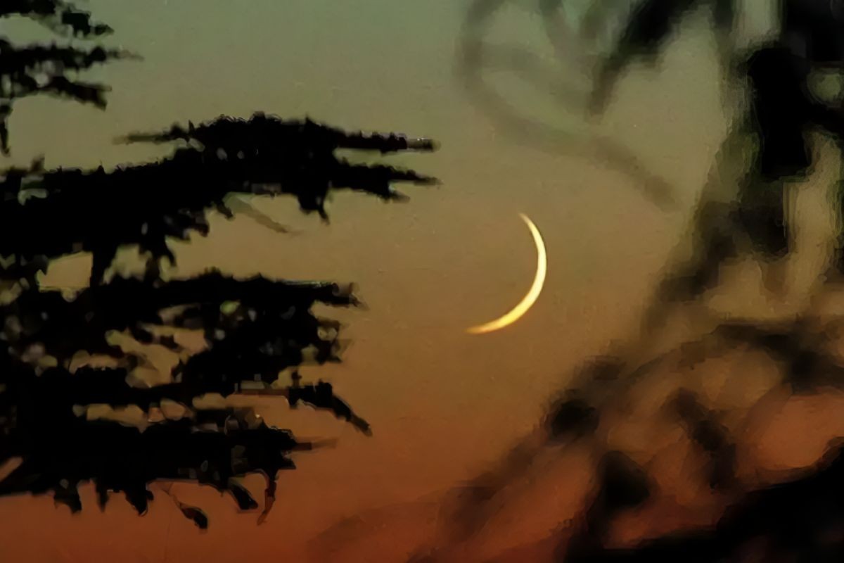 আজ পবিত্র ফাতেহা-ই-ইয়াজদাহম