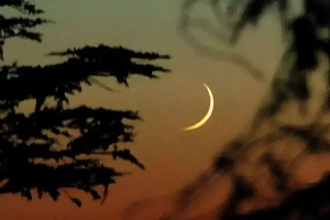 আজ পবিত্র ফাতেহা-ই-ইয়াজদাহম