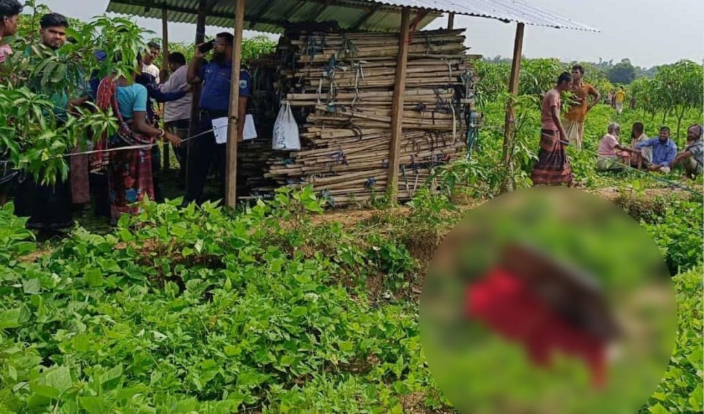 আমবাগানে শিশুর লাশ, পুলিশের ধারণা, ধর্ষণের পর হত্যা 3 আমবাগানে শিশুর লাশ পুলিশের ধারণা ধর্ষণের পর হত্যা 1760021486 আমবাগানে শিশুর লাশ, পুলিশের ধারণা, ধর্ষণের পর হত্যা