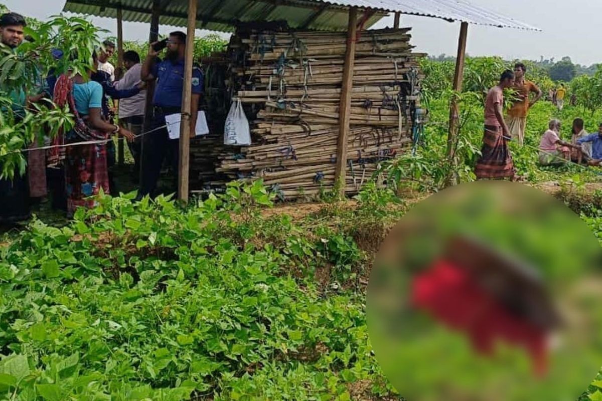 আমবাগানে শিশুর লাশ, পুলিশের ধারণা, ধর্ষণের পর হত্যা