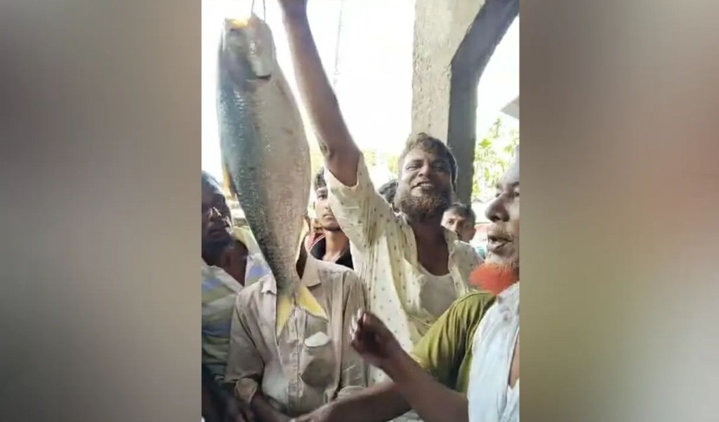 সাগরের এক ইলিশ ১০ হাজার টাকায় বিক্রি 3 ইলিশ 1759552380 সাগরের এক ইলিশ ১০ হাজার টাকায় বিক্রি