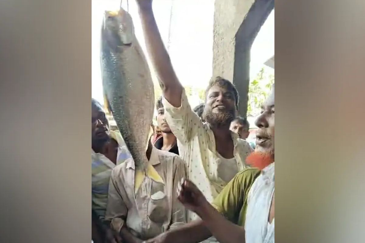 সাগরের এক ইলিশ ১০ হাজার টাকায় বিক্রি
