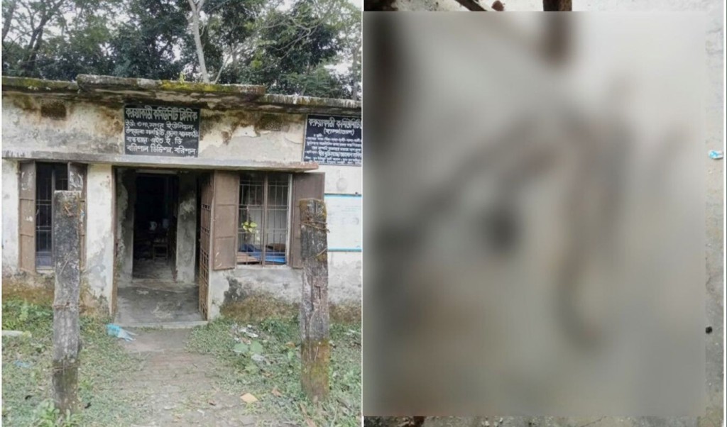 কমিউনিটি ক্লিনিকে ৭ বিষাক্ত কিং কোবরা, আতঙ্কে স্বাস্থ্যকর্মীরা 3 কমিউনিটি ক্লিনিকে ৭ বিষাক্ত কিং কোবরা আতঙ্কে স্বাস্থ্যকর্মীরা 1759929370 কমিউনিটি ক্লিনিকে ৭ বিষাক্ত কিং কোবরা, আতঙ্কে স্বাস্থ্যকর্মীরা