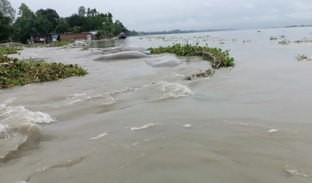 কুড়িগ্রামে ভারত থেকে ভেসে এলো মৃত গন্ডার 3 কুড়িগ্রামে ভারত থেকে ভেসে এলো মৃত গন্ডার 1759938431 কুড়িগ্রামে ভারত থেকে ভেসে এলো মৃত গন্ডার
