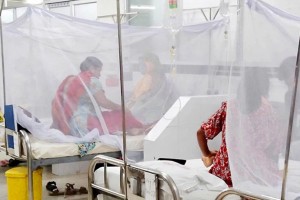 চলতি বছরে ডেঙ্গুতে মৃত্যুর সংখ্যা ২২০ জনে