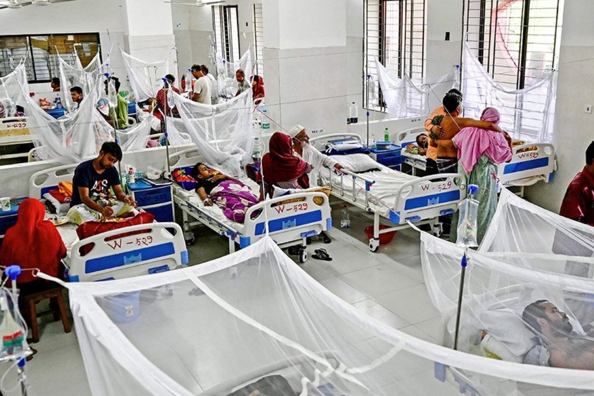 ডেঙ্গুতে ২ জনের মৃত্যু, হাসপাতালে ভর্তি ৩৯৬