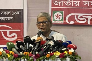 দেশের চলমান সংকট অন্তর্বর্তী সরকার সৃষ্টি করেছে: মির্জা ফখরুল