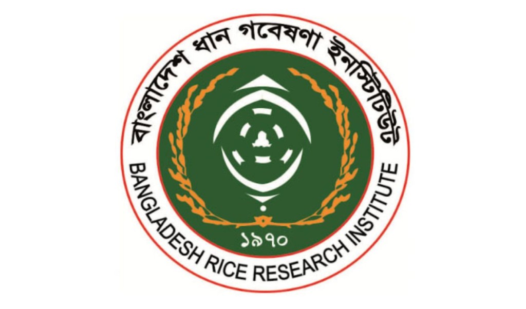 ধান গবেষণা ইনস্টিটিউটে চাকরির সুযোগ 3 ধান গবেষণা ইনস্টিটিউটে চাকরির সুযোগ 1759821101 ধান গবেষণা ইনস্টিটিউটে চাকরির সুযোগ